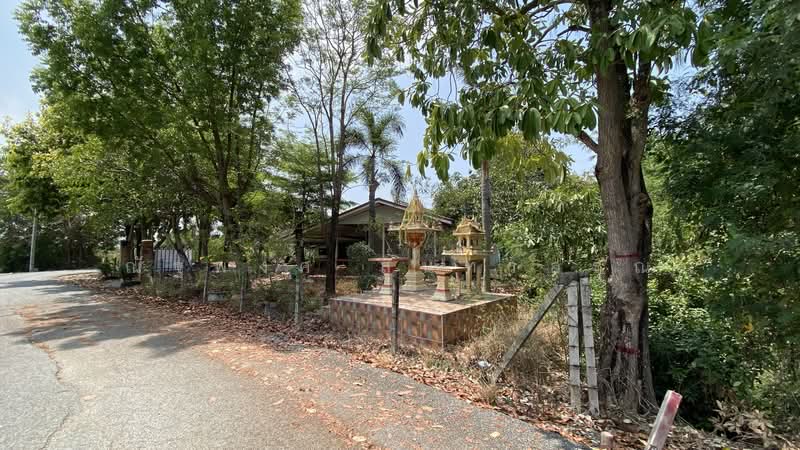 ไม่พบโครงการ, Chachoengsao, ฉะเชิงเทรา-บางปะกง สิริโสธร, Sothon, Muang Chachoengsao, Chachoengsao, 3 Bedrooms, 1,196 sqm, Single Detached House For Rent, by ณัฐพงศ์ สุนทรอรุณ, 500176386 - DDproperty.com