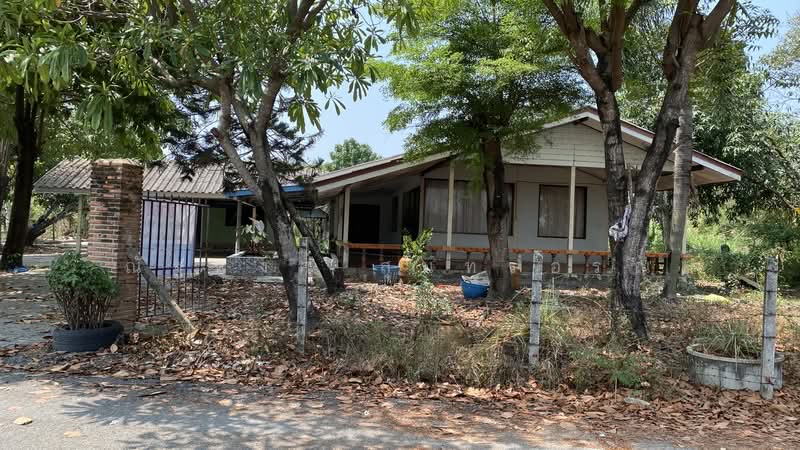 ไม่พบโครงการ, Chachoengsao, ฉะเชิงเทรา-บางปะกง สิริโสธร, Sothon, Muang Chachoengsao, Chachoengsao, 3 Bedrooms, 1,196 sqm, Single Detached House For Rent, by ณัฐพงศ์ สุนทรอรุณ, 500176386 - DDproperty.com