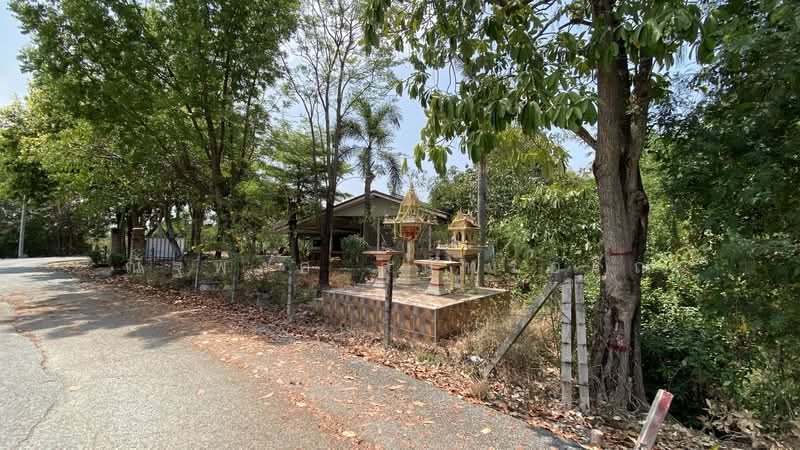 ไม่พบโครงการ, Chachoengsao, ฉะเชิงเทรา-บางปะกง สิริโสธร, Sothon, Muang Chachoengsao, Chachoengsao, 3 Bedrooms, 1,196 sqm, Single Detached House For Rent, by ณัฐพงศ์ สุนทรอรุณ, 500176386 - DDproperty.com