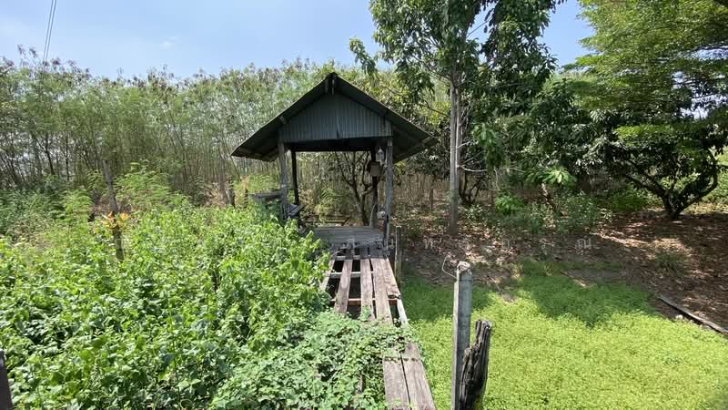 ไม่พบโครงการ, Chachoengsao, ฉะเชิงเทรา-บางปะกง สิริโสธร, Sothon, Muang Chachoengsao, Chachoengsao, 3 Bedrooms, 1,196 sqm, Single Detached House For Rent, by ณัฐพงศ์ สุนทรอรุณ, 500176386 - DDproperty.com