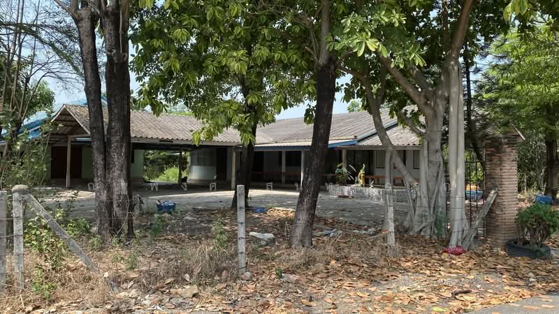 ไม่พบโครงการ, Chachoengsao, ฉะเชิงเทรา-บางปะกง สิริโสธร, Sothon, Muang Chachoengsao, Chachoengsao, 3 Bedrooms, 1,196 sqm, Single Detached House For Rent, by ณัฐพงศ์ สุนทรอรุณ, 500176386 - DDproperty.com