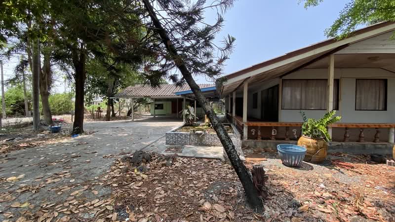 ไม่พบโครงการ, Chachoengsao, ฉะเชิงเทรา-บางปะกง สิริโสธร, Sothon, Muang Chachoengsao, Chachoengsao, 3 Bedrooms, 1,196 sqm, Single Detached House For Rent, by ณัฐพงศ์ สุนทรอรุณ, 500176386 - DDproperty.com