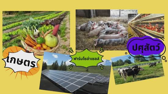 ขายที่ดินสวยทำฟาร์ม-ปศุสัตว์ พัฒนาแล้วทั้งแปลง โฉนด 15 ไร่ พร้อมโอน ห่างชะอำหัวหิน 30 นาที, เพชรบุรี, ไร่ใหม่พัฒนา, ชะอำ, เพชรบุรี, 24,284 ตร.ม., ที่ดิน ขาย, โดย จันดา0926463563, 500176411 - DDproperty.com