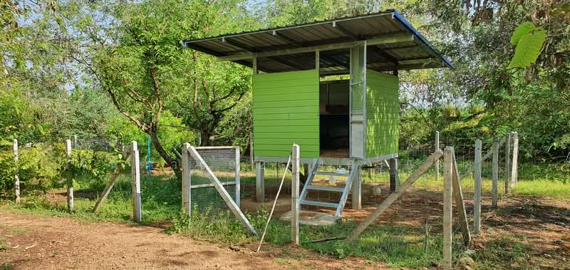 Developed 15-Rai Farm for Sale: Ready for Livestock & Agri. 30 Mins from Hua Hin. Title Deed Ready, Phetchaburi, Rai Mai Patthana, Cha-Am, Phetchaburi, , 24,284 sqm, Land For Sale, by จันดา0926463563, 500176411 - DDproperty.com