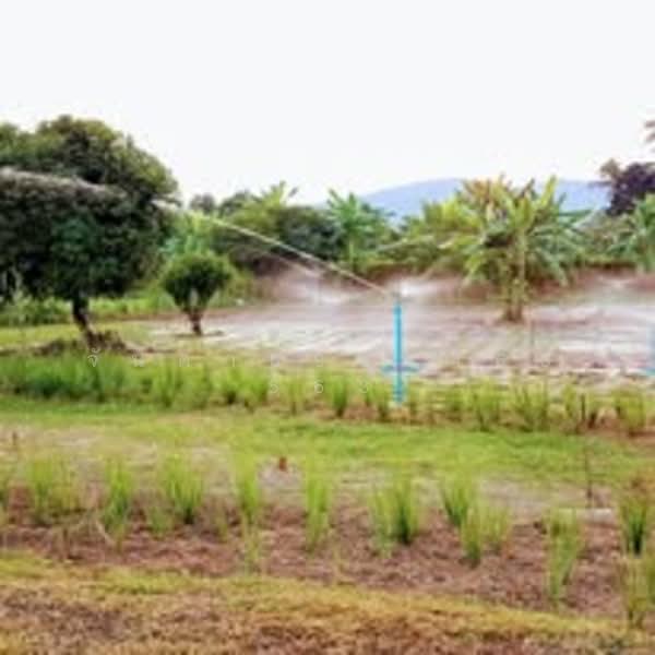 Developed 15-Rai Farm for Sale: Ready for Livestock & Agri. 30 Mins from Hua Hin. Title Deed Ready, Phetchaburi, Rai Mai Patthana, Cha-Am, Phetchaburi, , 24,284 sqm, Land For Sale, by จันดา0926463563, 500176411 - DDproperty.com
