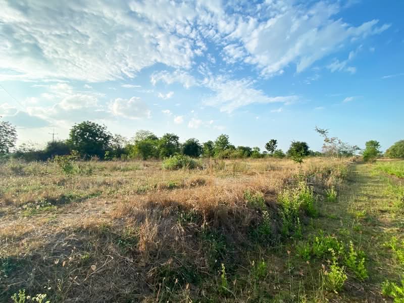 ที่ดินพระนอน นครสวรรค์, Nakhon Sawan, Phra Non, Muang Nakhon Sawan, Nakhon Sawan, , 3,204 sqm, Land For Sale, by The Best Property ก็อต, 500176459 - DDproperty.com