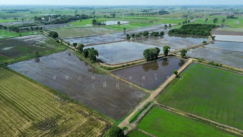 ขายที่นา 27-1-44 ไร่ ตำบลบ้านกลับ อำเภอหนองโดน จังหวัดสระบุรี, Saraburi, Ban Klap, Nong Don, Saraburi, , 43,776 sqm, Land For Sale, by สรภพ ยอดไชย (สีฝุ่น), 500176532 - DDproperty.com