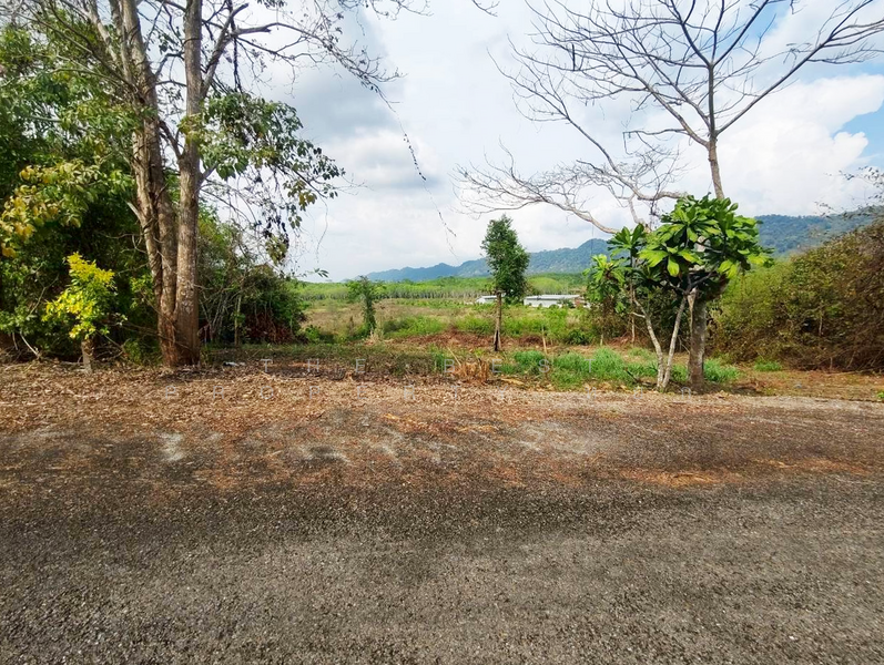 ที่ดินแก่งหางแมว จันทบุรี, จันทบุรี, เขาวงกต, แก่งหางแมว, จันทบุรี, 1,784 ตร.ม., ที่ดิน ขาย, โดย The Best Property หยก, 500176540 - DDproperty.com