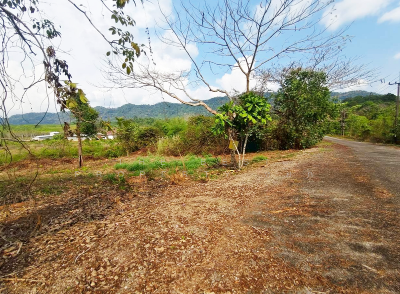 ที่ดินแก่งหางแมว จันทบุรี, Chanthaburi, Khao Wongkot, Kaeng Hang Maeo, Chanthaburi, , 1,784 sqm, Land For Sale, by The Best Property หยก, 500176540 - DDproperty.com