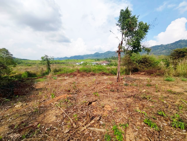 ที่ดินแก่งหางแมว จันทบุรี, จันทบุรี, เขาวงกต, แก่งหางแมว, จันทบุรี, 1,784 ตร.ม., ที่ดิน ขาย, โดย The Best Property หยก, 500176540 - DDproperty.com