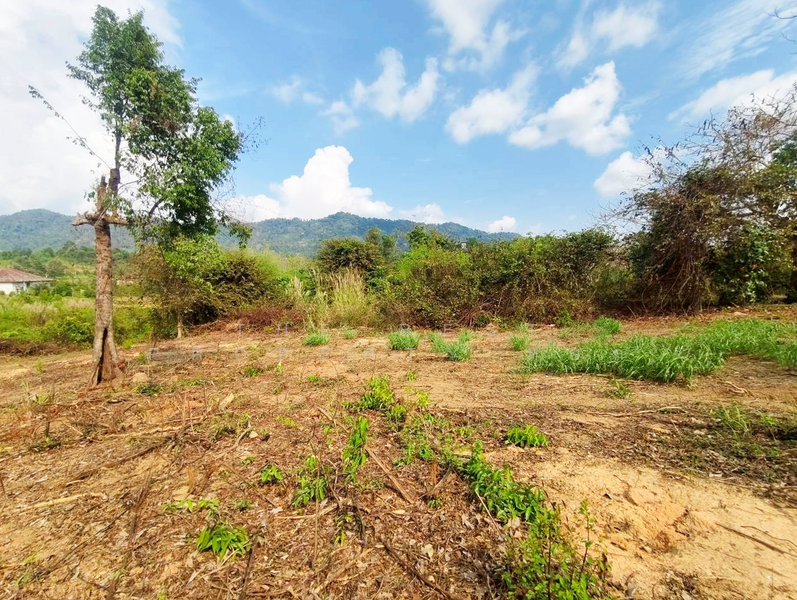 ที่ดินแก่งหางแมว จันทบุรี, Chanthaburi, Khao Wongkot, Kaeng Hang Maeo, Chanthaburi, , 1,784 sqm, Land For Sale, by The Best Property หยก, 500176540 - DDproperty.com