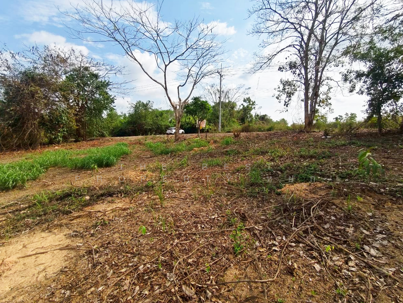 ที่ดินแก่งหางแมว จันทบุรี, จันทบุรี, เขาวงกต, แก่งหางแมว, จันทบุรี, 1,784 ตร.ม., ที่ดิน ขาย, โดย The Best Property หยก, 500176540 - DDproperty.com