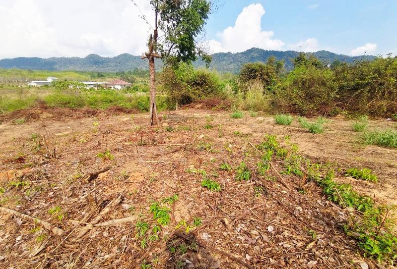 ที่ดินแก่งหางแมว จันทบุรี, จันทบุรี, เขาวงกต, แก่งหางแมว, จันทบุรี, 1,784 ตร.ม., ที่ดิน ขาย, โดย The Best Property หยก, 500176540 - DDproperty.com