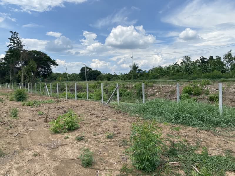 ขาย - หนองแค, สระบุรี