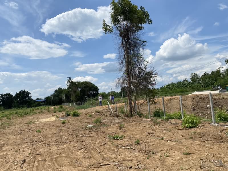 หนองแค, Saraburi, Phon Thong, Nong Khae, Saraburi, , 22,416 sqm, Land For Sale, by Charlie wongsermsin, 500176626 - DDproperty.com