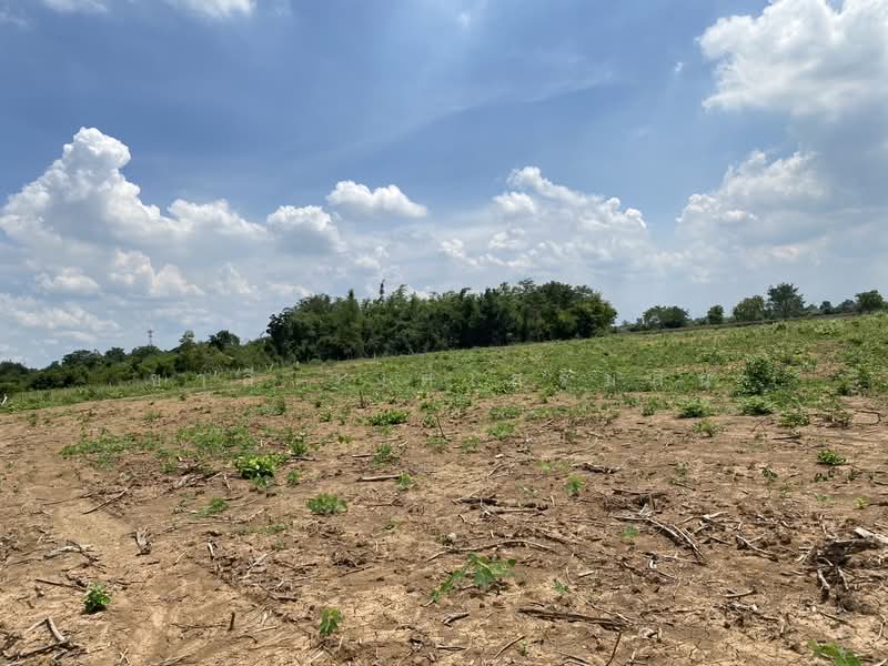 หนองแค, Saraburi, Phon Thong, Nong Khae, Saraburi, , 22,416 sqm, Land For Sale, by Charlie wongsermsin, 500176626 - DDproperty.com