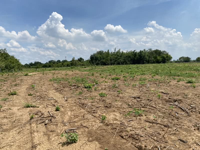 หนองแค, Saraburi, Phon Thong, Nong Khae, Saraburi, , 22,416 sqm, Land For Sale, by Charlie wongsermsin, 500176626 - DDproperty.com