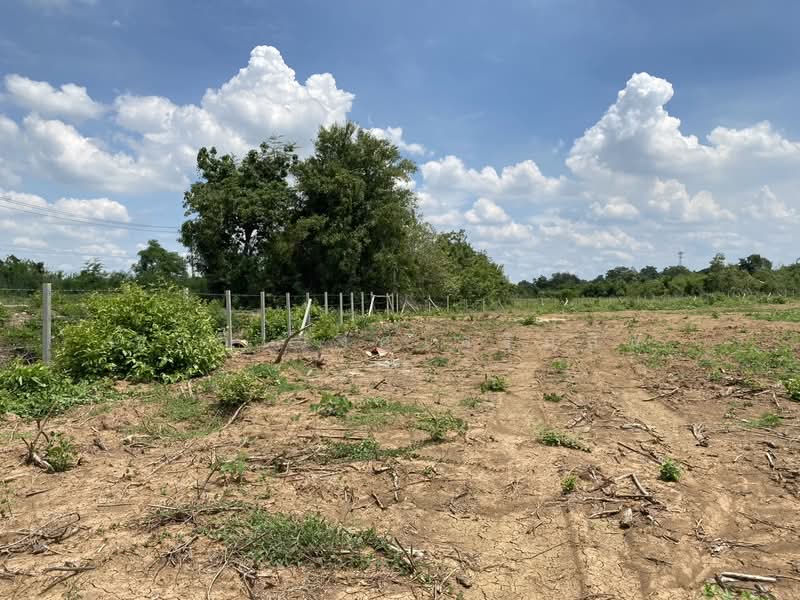 ขาย - หนองแค, สระบุรี