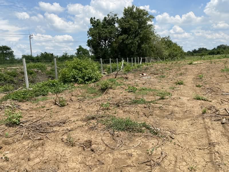 หนองแค, Saraburi, Phon Thong, Nong Khae, Saraburi, , 22,416 sqm, Land For Sale, by Charlie wongsermsin, 500176626 - DDproperty.com