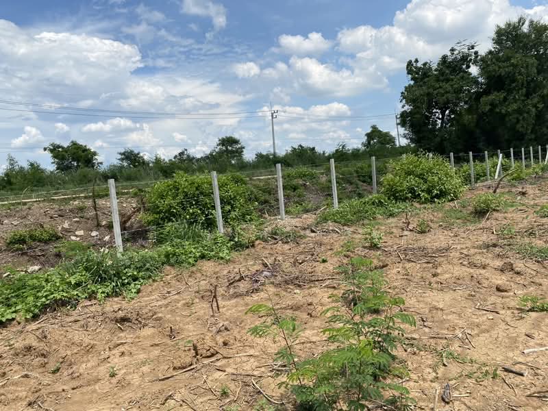 หนองแค, Saraburi, Phon Thong, Nong Khae, Saraburi, , 22,416 sqm, Land For Sale, by Charlie wongsermsin, 500176626 - DDproperty.com