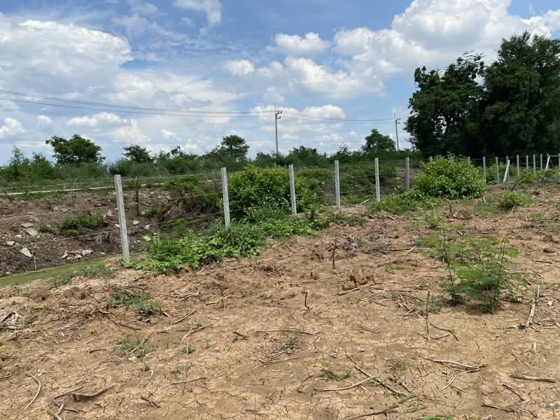 ขาย - หนองแค, สระบุรี