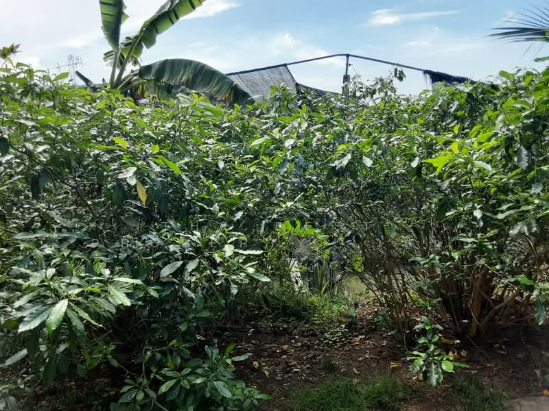 ที่ดินบางแค กรุงเทพมหานคร, กรุงเทพ, หลักสอง, บางแค, กรุงเทพ, 8,420 ตร.ม., ที่ดิน ขาย, โดย The Best Property  เสือ, 500176688 - DDproperty.com