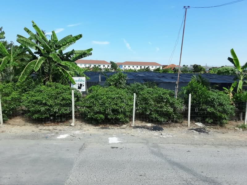 ที่ดินบางแค กรุงเทพมหานคร, กรุงเทพ, หลักสอง, บางแค, กรุงเทพ, 8,420 ตร.ม., ที่ดิน ขาย, โดย The Best Property  เสือ, 500176688 - DDproperty.com