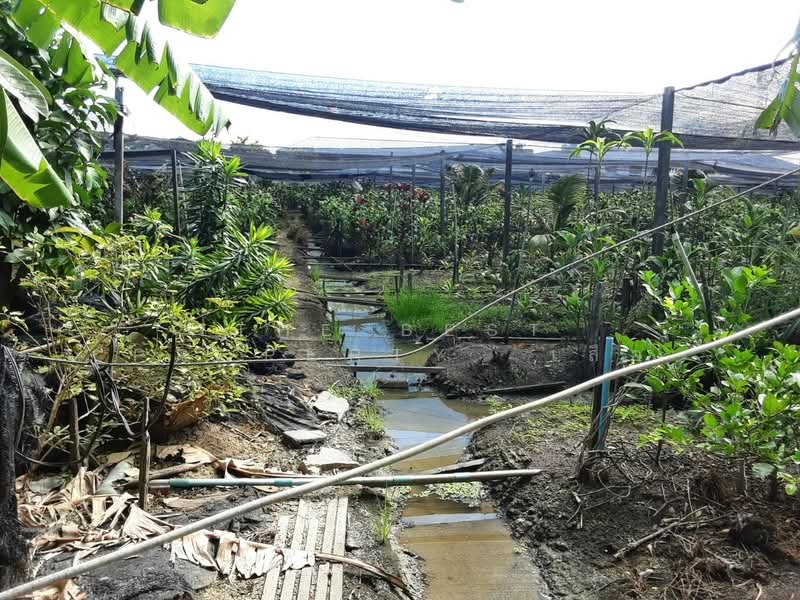 ที่ดินบางแค กรุงเทพมหานคร, Bangkok, Lak Song, Bang Khae, Bangkok, , 8,420 sqm, Land For Sale, by The Best Property  เสือ, 500176688 - DDproperty.com