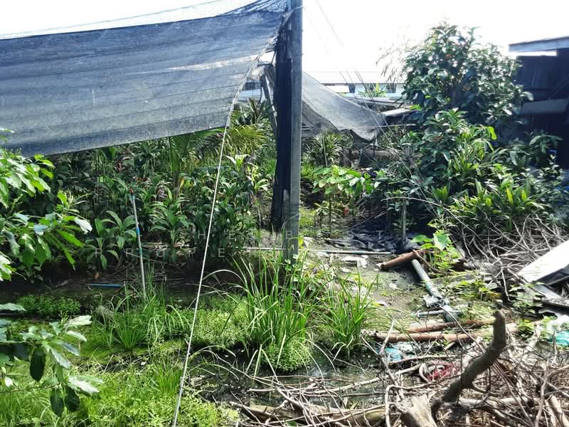 ที่ดินบางแค กรุงเทพมหานคร, Bangkok, Lak Song, Bang Khae, Bangkok, , 8,420 sqm, Land For Sale, by The Best Property  เสือ, 500176688 - DDproperty.com