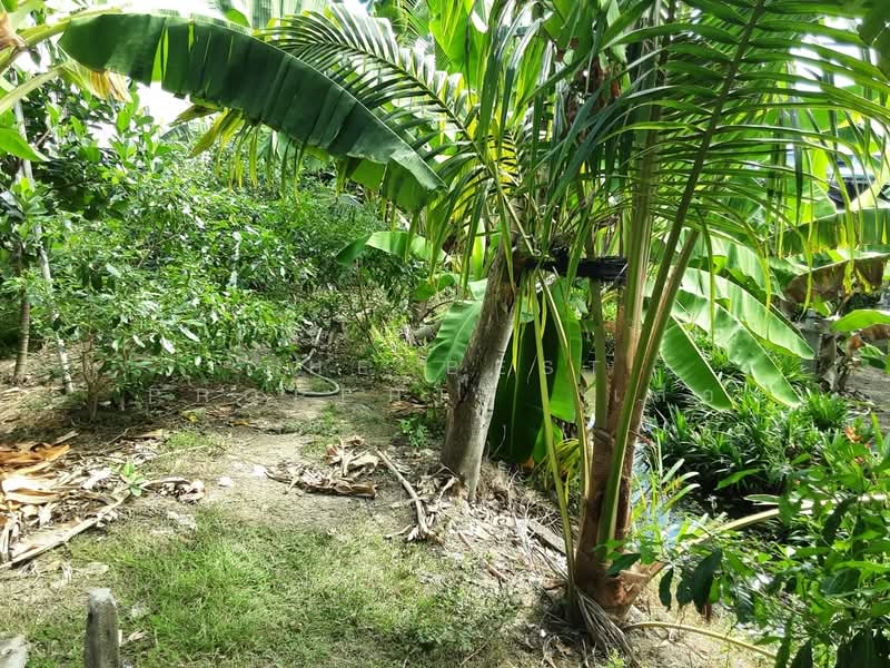 ที่ดินบางแค กรุงเทพมหานคร, Bangkok, Lak Song, Bang Khae, Bangkok, , 8,420 sqm, Land For Sale, by The Best Property  เสือ, 500176688 - DDproperty.com