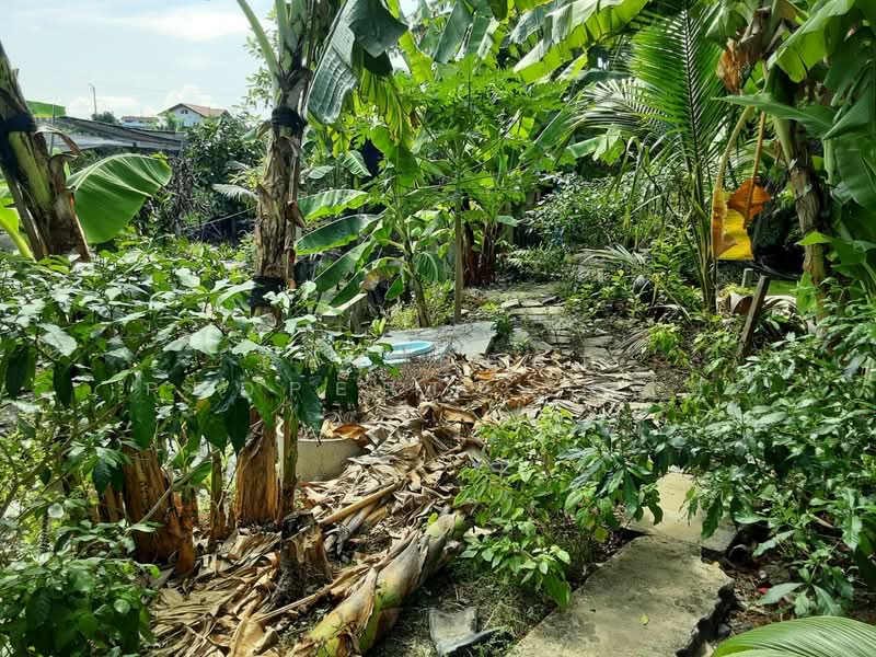 ที่ดินบางแค กรุงเทพมหานคร, กรุงเทพ, หลักสอง, บางแค, กรุงเทพ, 8,420 ตร.ม., ที่ดิน ขาย, โดย The Best Property  เสือ, 500176688 - DDproperty.com