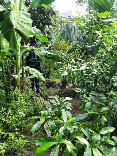 ที่ดินบางแค กรุงเทพมหานคร, Bangkok, Lak Song, Bang Khae, Bangkok, , 8,420 sqm, Land For Sale, by The Best Property  เสือ, 500176688 - DDproperty.com