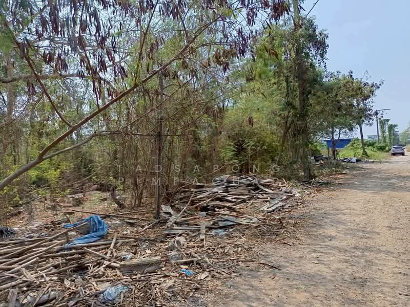 ที่ดินจัดสรรทำเลทอง คลอง 6 - ใกล้ มทร.ธัญบุรี ราคาพิเศษเพียง 690,000 บาท/แปลง, ปทุมธานี, คลองหก, คลองหลวง, ปทุมธานี, 400 ตร.ม., ที่ดิน ขาย, โดย Tadsapong Pimpachad, 500176715 - DDproperty.com