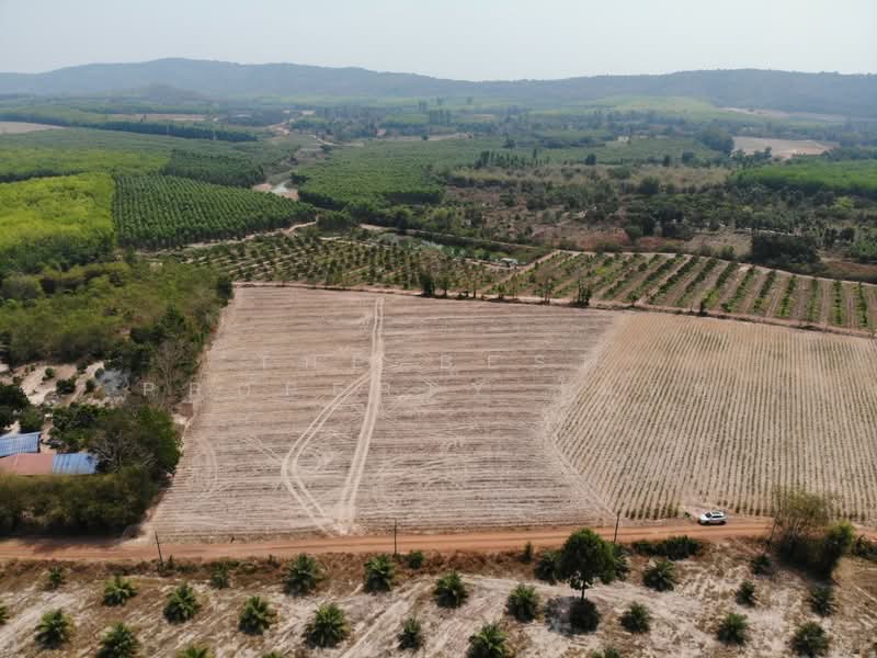 ที่ดินนาดี ปราจีนบุรี, Prachin Buri, Kaeng Din So, Na Di, Prachin Buri, , 17,600 sqm, Land For Sale, by The Best Property โมทย์, 500176778 - DDproperty.com