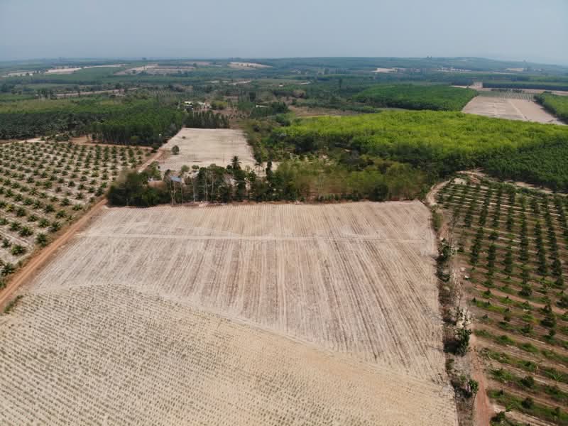 ที่ดินนาดี ปราจีนบุรี, Prachin Buri, Kaeng Din So, Na Di, Prachin Buri, , 17,600 sqm, Land For Sale, by The Best Property โมทย์, 500176778 - DDproperty.com