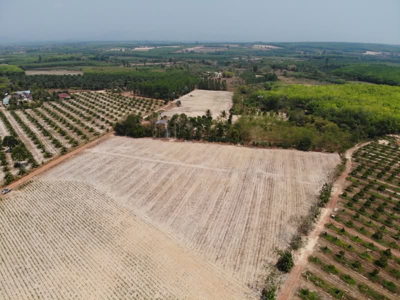 ที่ดินนาดี ปราจีนบุรี, Prachin Buri, Kaeng Din So, Na Di, Prachin Buri, , 17,600 sqm, Land For Sale, by The Best Property โมทย์, 500176778 - DDproperty.com