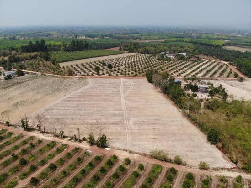 ที่ดินนาดี ปราจีนบุรี, Prachin Buri, Kaeng Din So, Na Di, Prachin Buri, , 17,600 sqm, Land For Sale, by The Best Property โมทย์, 500176778 - DDproperty.com