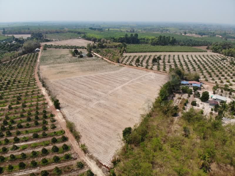 ที่ดินนาดี ปราจีนบุรี, Prachin Buri, Kaeng Din So, Na Di, Prachin Buri, , 17,600 sqm, Land For Sale, by The Best Property โมทย์, 500176778 - DDproperty.com