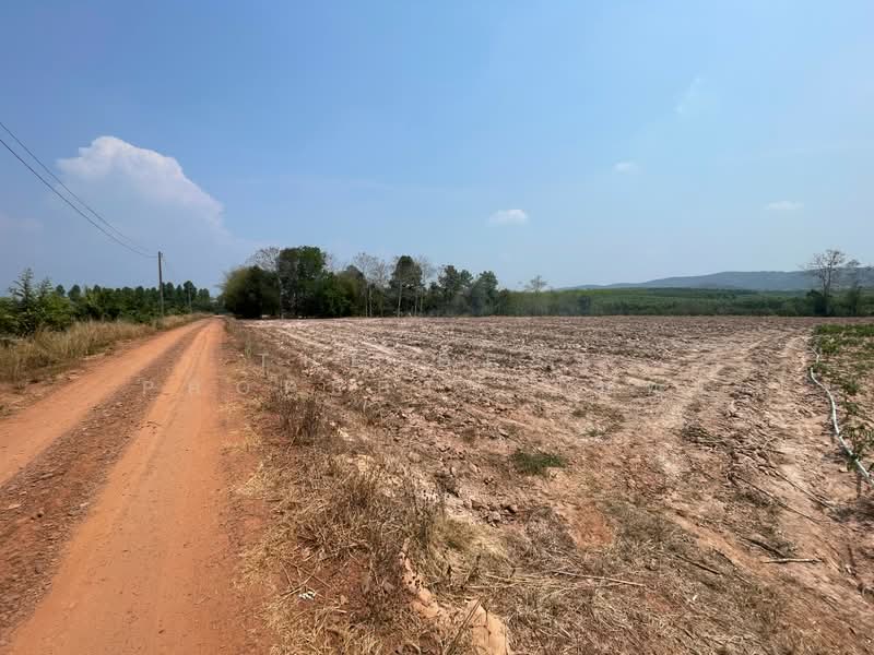 ที่ดินนาดี ปราจีนบุรี, Prachin Buri, Kaeng Din So, Na Di, Prachin Buri, , 17,600 sqm, Land For Sale, by The Best Property โมทย์, 500176778 - DDproperty.com