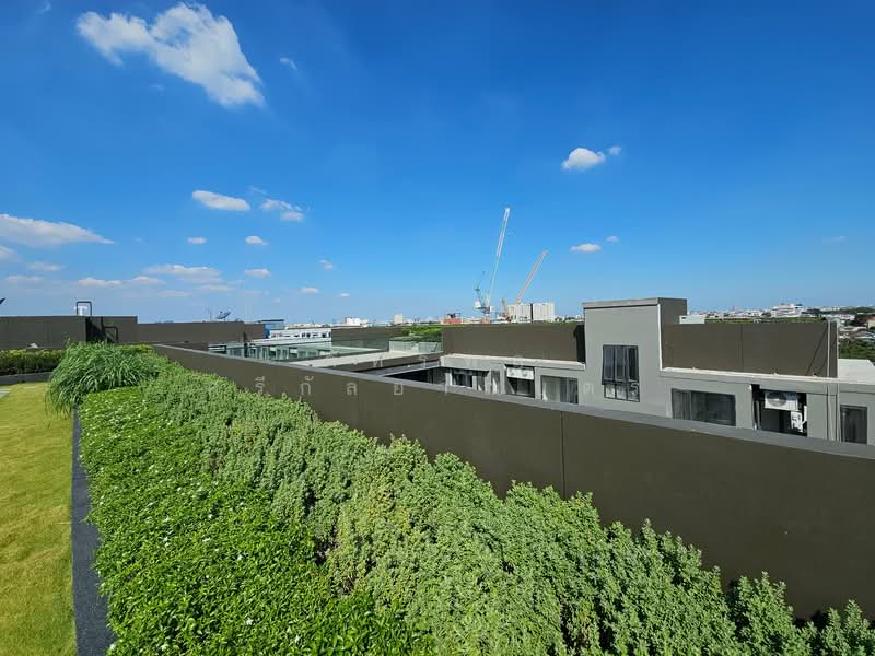 BEAT Sukhumvit, Bangkok, Soi Sukhumvit 93, Sukhumvit Road, Phra Khanong District, Bangkok, Bang Chak, Phra Khanong, Bangkok, 1 Bedroom, 27 sqm, Condo Option To Buy, by ภัทรพล ศรีกัลยาณบุตร, 500176930 - DDproperty.com