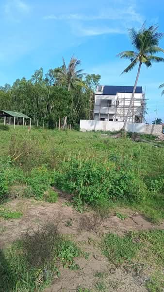 ขาย - 🌿 ขายที่ดินใกล้ทะเลปากน้ำปราณบุรี 🌊 150 ตารางวาเพียง 1,600,000 บาท!!!( ต่อรองได้อีก) ถมแล้ว!!, ประจวบคีรีขันธ์