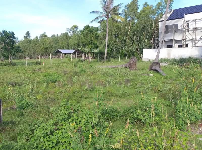 Land for sale near the sea in Pak Nam Pranburi 🌊 150 square wa (approximately 600 sq m) for only 1,, Prachuap Khiri Khan, Sam Roi Yot, Sam Roi Yot, Prachuap Khiri Khan, , 600 sqm, Land For Sale, by Shusiri Suanphaisirikul, 500176973 - DDproperty.com