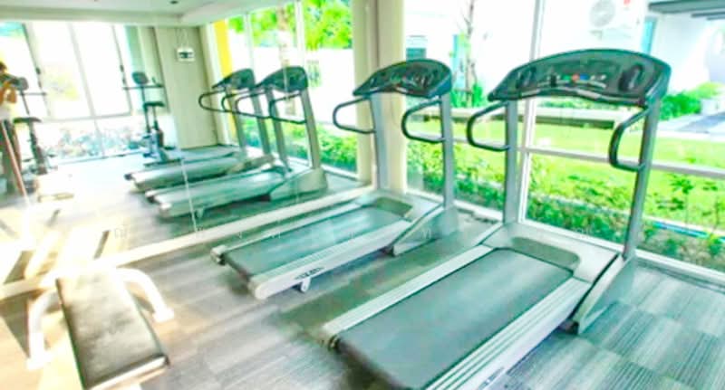 MY Condo Sukhumvit 103, Bangkok, 103 Sukhumvit, Bang Na, Bang Na, Bangkok, 1 Bedroom, 35 sqm, Condo For Rent, by ณัฐพงศ์ สุนทรอรุณ, 500176991 - DDproperty.com