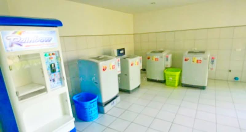 MY Condo Sukhumvit 103, Bangkok, 103 Sukhumvit, Bang Na, Bang Na, Bangkok, 1 Bedroom, 35 sqm, Condo For Rent, by ณัฐพงศ์ สุนทรอรุณ, 500176991 - DDproperty.com