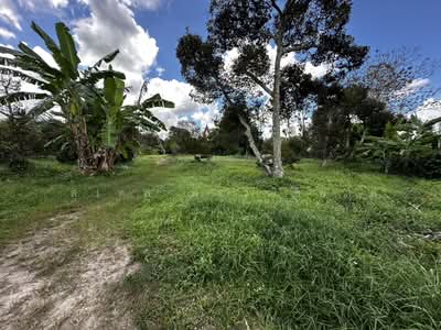 ขาย - ขายที่ดินสูงกว่าถนนไม่ต้องถม 1-0-67 ไร่ บ้านแลง ระยอง ติดสถานปฏิบัติธรรมหลวงปู่ขี้เถ้า, ระยอง