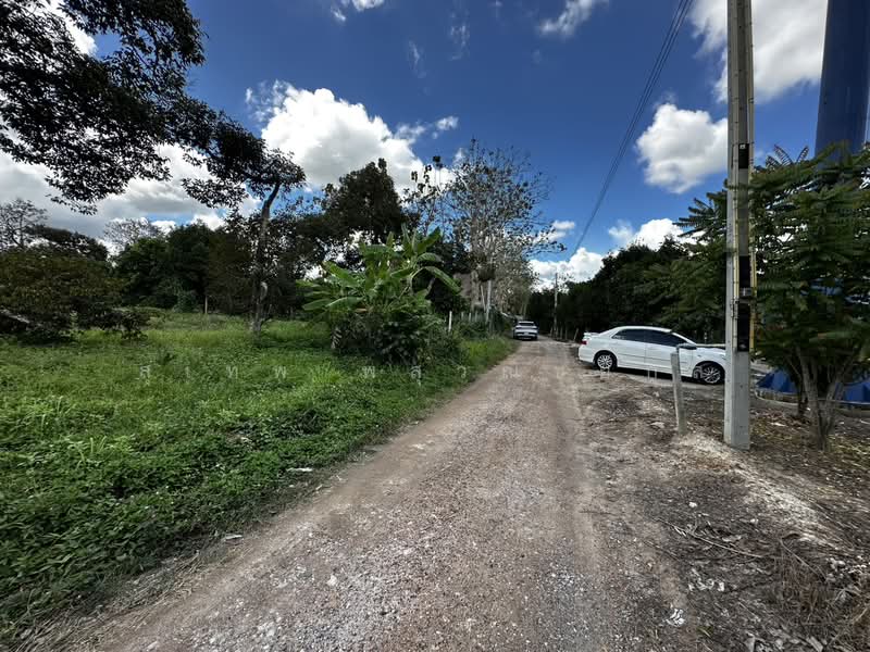 Land for Sale Elevated Plot (No Filling Required) 1-0-67 Rai, Ban Laeng, Rayong Adjacent to Luang P, Rayong, Ban Laeng, Muang Rayong, Rayong, , 1,868 sqm, Land For Sale, by สุเทพ พสุวณิชย์กุล, 500177023 - DDproperty.com