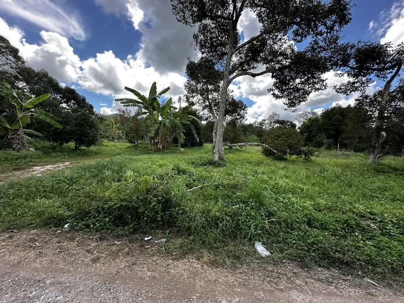 Land for Sale Elevated Plot (No Filling Required) 1-0-67 Rai, Ban Laeng, Rayong Adjacent to Luang P, Rayong, Ban Laeng, Muang Rayong, Rayong, , 1,868 sqm, Land For Sale, by สุเทพ พสุวณิชย์กุล, 500177023 - DDproperty.com