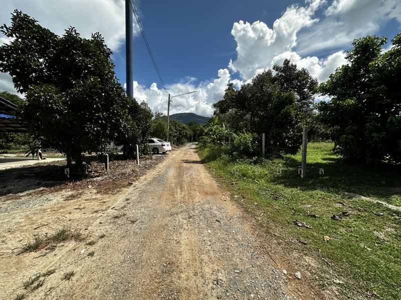 Land for Sale Elevated Plot (No Filling Required) 1-0-67 Rai, Ban Laeng, Rayong Adjacent to Luang P, Rayong, Ban Laeng, Muang Rayong, Rayong, , 1,868 sqm, Land For Sale, by สุเทพ พสุวณิชย์กุล, 500177023 - DDproperty.com