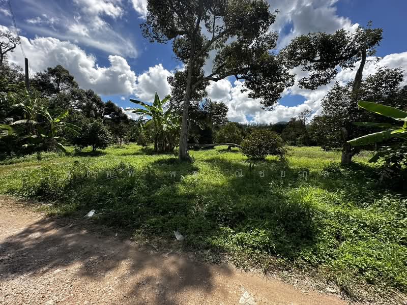 Land for Sale Elevated Plot (No Filling Required) 1-0-67 Rai, Ban Laeng, Rayong Adjacent to Luang P, Rayong, Ban Laeng, Muang Rayong, Rayong, , 1,868 sqm, Land For Sale, by สุเทพ พสุวณิชย์กุล, 500177023 - DDproperty.com