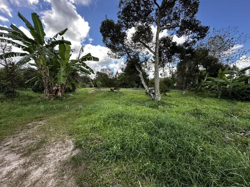 Land for Sale at Only THB 2,505/sq.wah Elevated Above Road Level, No Land Filling Required 1-0-67, Rayong, Ban Laeng, Muang Rayong, Rayong, , 1,868 sqm, Land For Sale, by สุเทพ พสุวณิชย์กุล, 500177023 - DDproperty.com